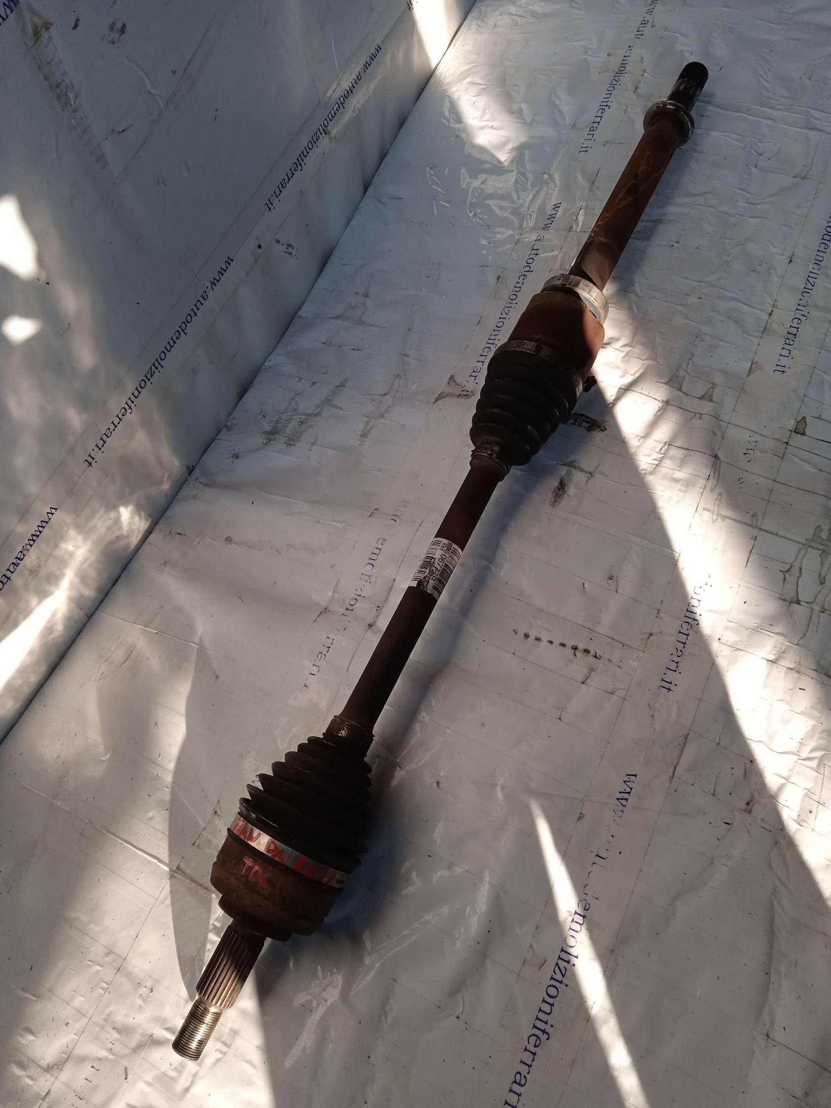 Semialbero ant. compl. dx.